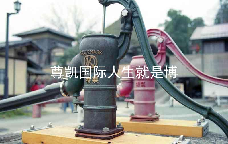 尊凯国际人生就是博