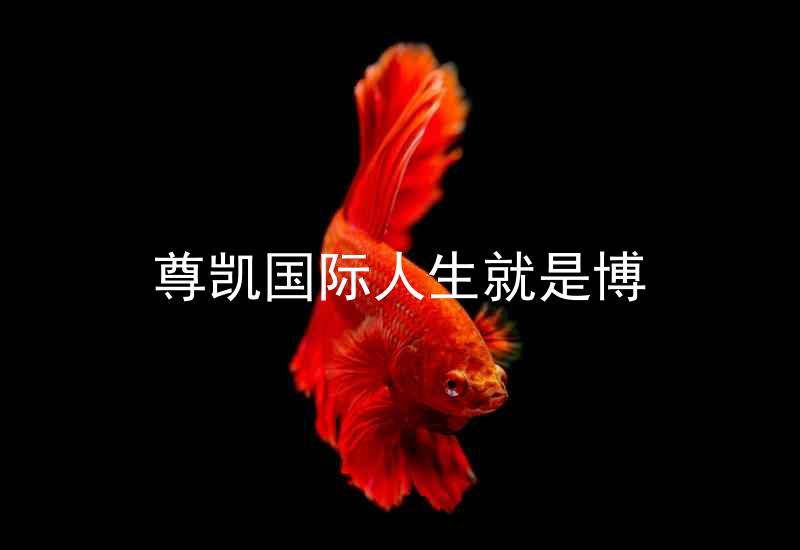 尊凯国际人生就是博